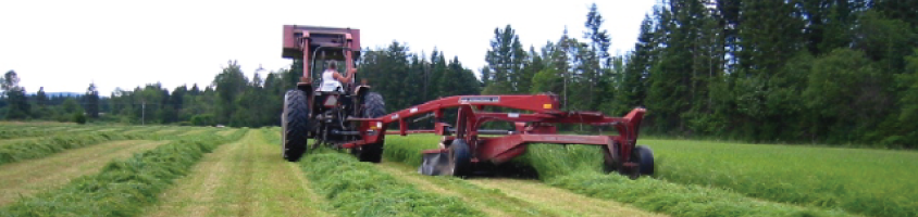 Worker in the fields at Viewfield Farms in Courtenay, BC
